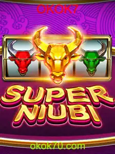 SuperNiubi